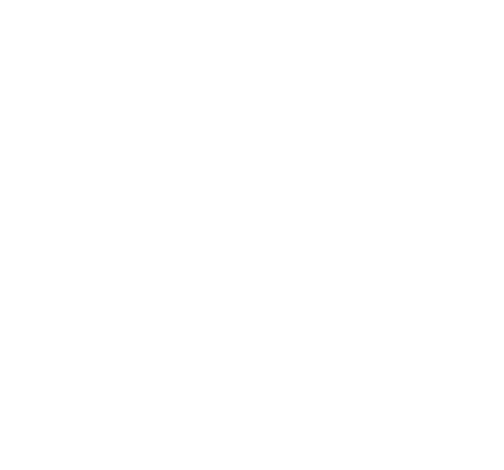 Leapmotor White